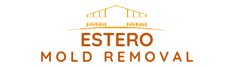 Cost Mold Removal - Mold Remediation